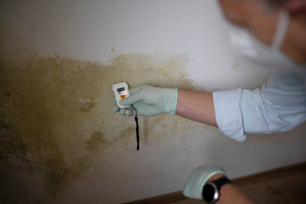 Best Asbestos and Lead Testing During Mold Inspection  in Emah, OK